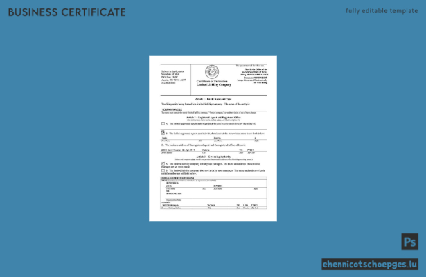 US-Gründungsurkunde für eine Gesellschaft mit beschränkter Haftung (Limited Liability Company) – Beispiel-Word- und PDF-Datei (Vorschau)